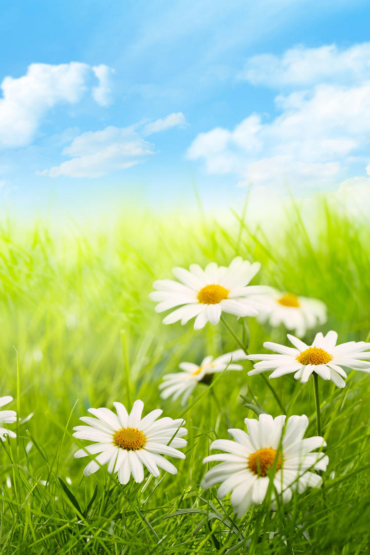 小小领主道具有哪些 道具作用解析 