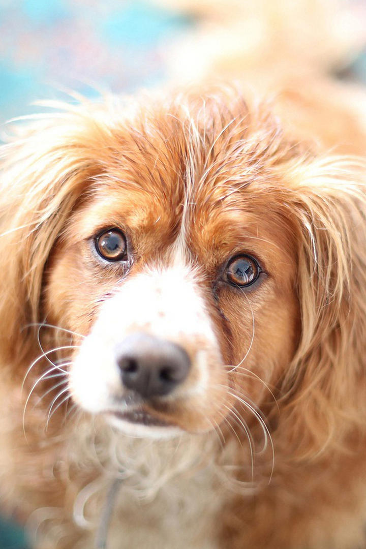 我挖木头贼六游戏